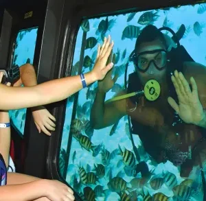 Royal Sea Scope from Hurghada