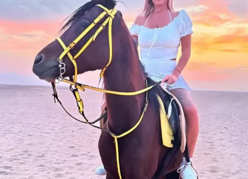 Desert Horse Riding Tour Hurghada