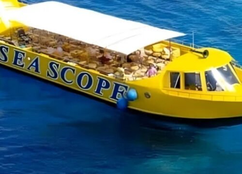 Royal Sea Scope from Marsa Alam