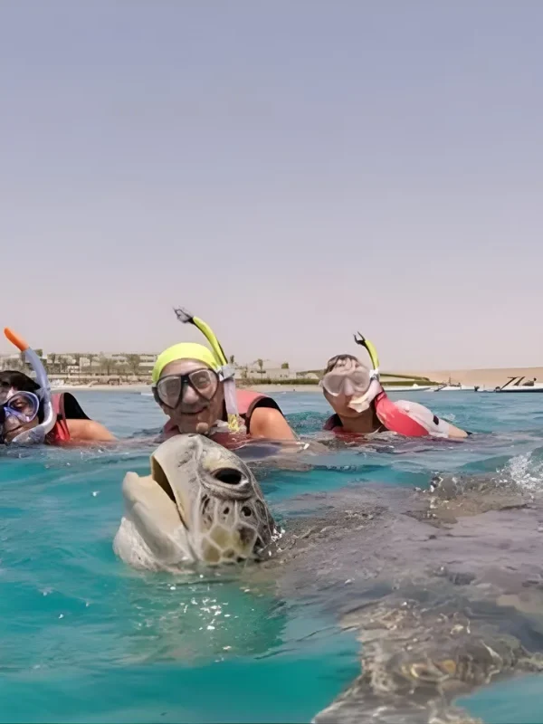 Tourists snorkeling and enjoying the turtles in Marsa Mubarak Bay
