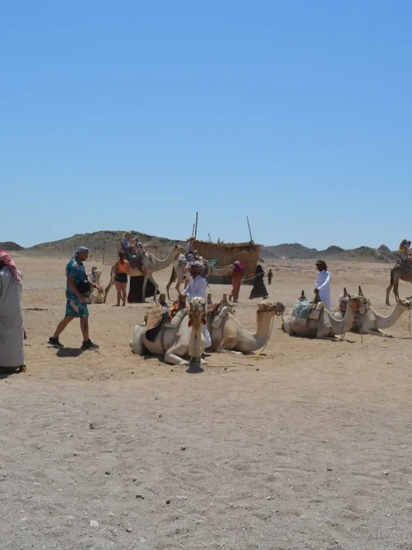 Tourists enjoying and discovering the camel ride on the Hurghada desert safari tour