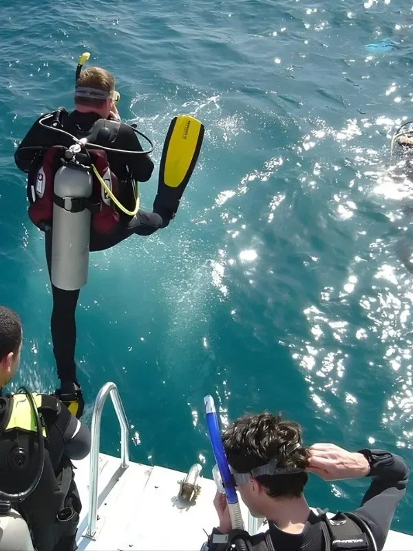 Full-day Orange Island diving tour in Egypt