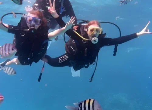 PADI Intro Dive from Hurghada
