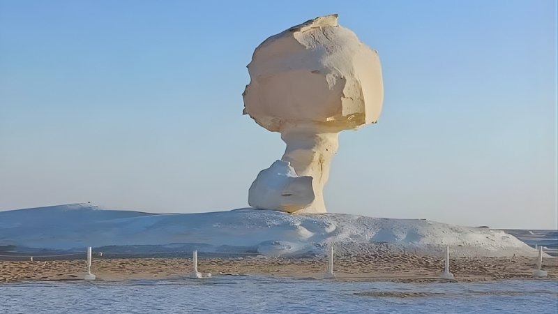 White - Black Desert