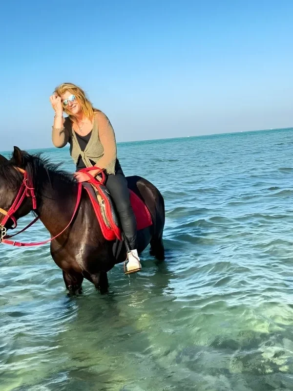 Horse entering shallow Red Sea water in Hurghada