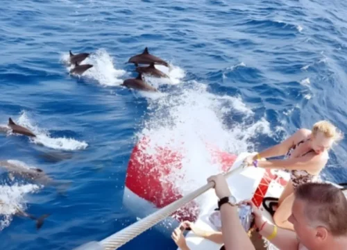 Dolphin House from Hurghada