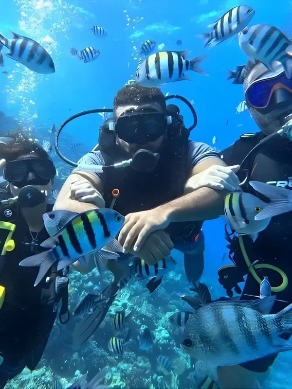 Beginner diving trip near Orange Island Hurghada