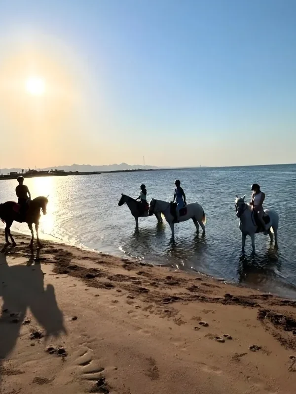Family enjoying beach horse riding tour from Hurghada