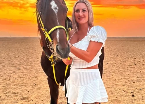 Desert Horses from Hurghada