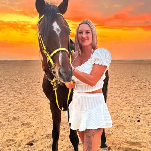 Desert Horses from Hurghada