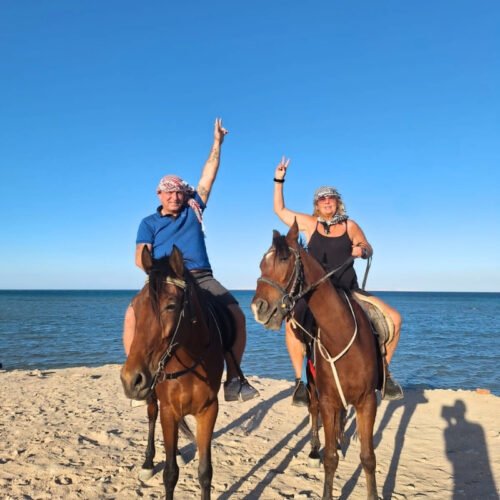 Horses on the Beach from Marsa Alam