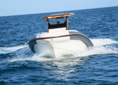 Guided Private Speed Boat from Hurghada