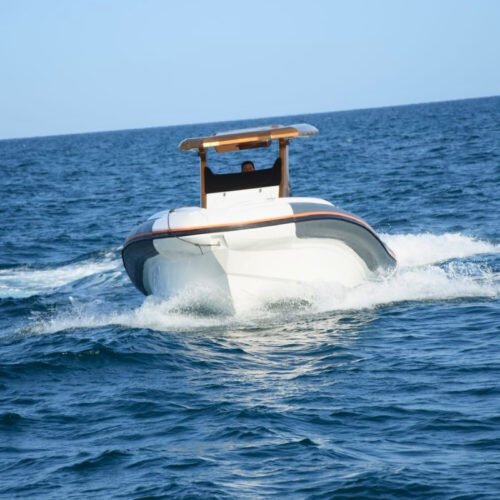 Guided Private Speed Boat from Hurghada