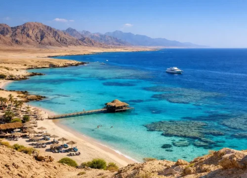 Best Things to Do in Marsa Alam