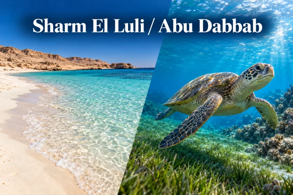 Sharm El Luli or Abu Dabbab: Which Marsa Alam Snorkel Spot Wins?