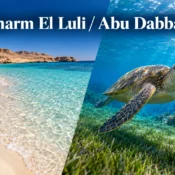 Sharm El Luli or Abu Dabbab